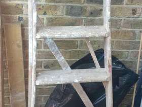 Freecycle Step ladder