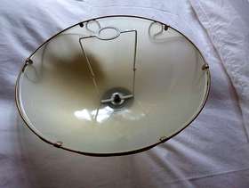 Freecycle Art Nouveau style ceiling/table lamp