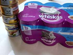 Freecycle Cat food