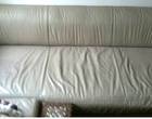 Freecycle Leather Sofa