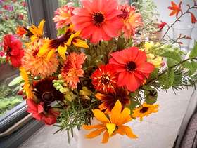 Freecycle Large bunch of fresh home grown flowers