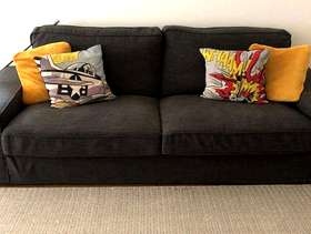 Freecycle Large Sofa