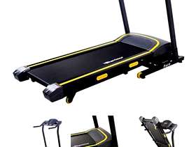 Freecycle Treadmill
