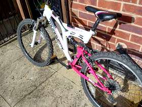 Freecycle Bike