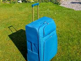 Freecycle Large Delsey suitcase