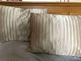 Freecycle Cream silk cushions