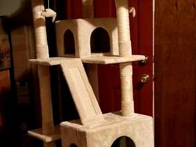 Freecycle Cat Tree