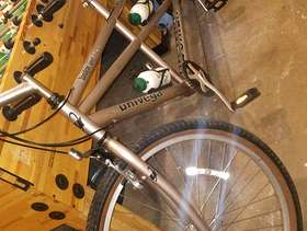 Freecycle Tandem Bicylcle