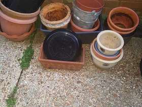 Freecycle Garden pots