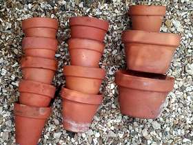 Freecycle 12 terracotta plant pots