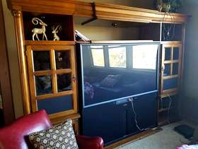 Freecycle Big Scrren TV/Speaker Combo