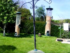 Freecycle Birdfeeders