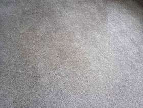 Freecycle Carpet