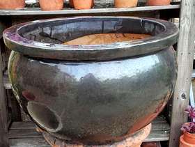 Freecycle Dark grey glazed plant pot