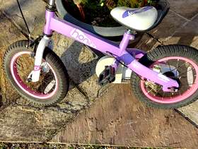 Freecycle Bike
