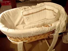 Freecycle Crib with stand
