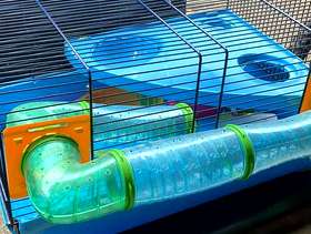Freecycle Hamster cage with accessories