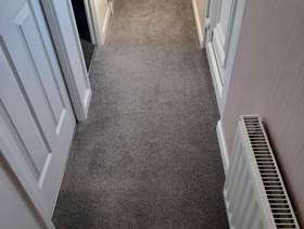 Freecycle Carpet runner