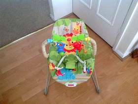 Freecycle Fisher Price Baby Bouncer