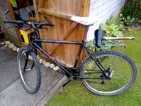 Freecycle Bicycle
