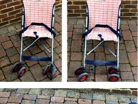 Freecycle Buggy