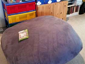 Freecycle GIANT Memory Foam Cushions/Chairs