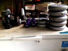 Freecycle Weights and dumbells
