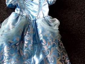 Freecycle Princess dress
