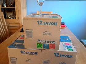 Freecycle 3 x 12 champagne flutes