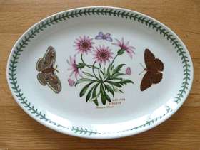 Freecycle PORTMEIRION Huge Botanic Garden Oval Platter 13"GAZANIA RINGENS / TreasureFlower