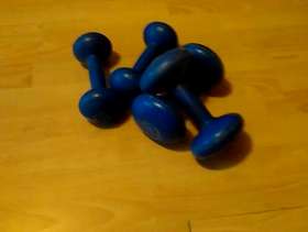 Freecycle Weights