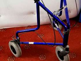 Freecycle Wheeled walker