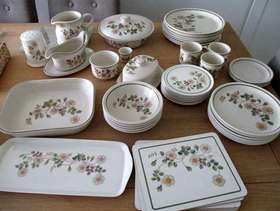Freecycle Autumn Leaves Dinner Service