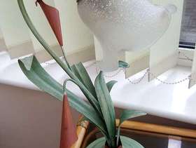 Freecycle Flower Metal and Glass Table Lamp