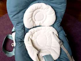 Freecycle Chicco Hoopla Baby Bouncer, Sage