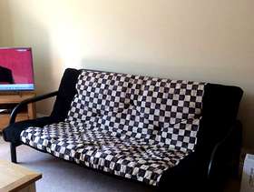 Freecycle Sofa bed