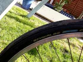 Freecycle Ladies bike