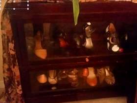 Freecycle Lawyer's bookcase