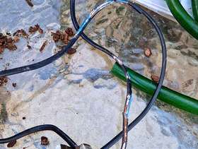 Freecycle Aquarium Filter