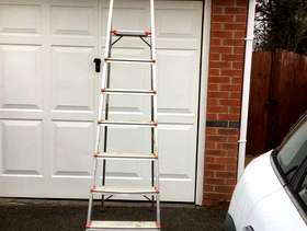 Freecycle Step Ladder