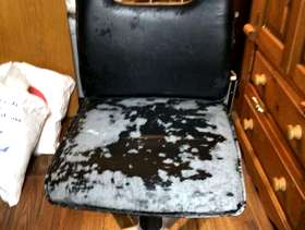 Freecycle Swivel chair