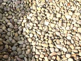 Freecycle Garden Peebles