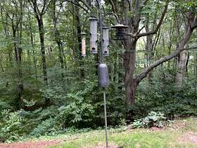 Freecycle Bird feeding system + feeders