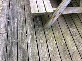 Freecycle Garden decking