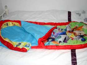 Freecycle Paw Patrol inflatable ready bed.