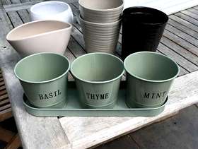 Freecycle Various indoor plant pots.