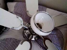 Freecycle Centre light/fan