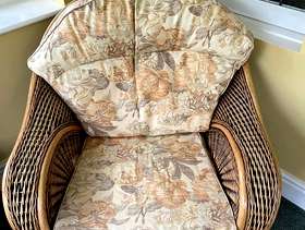 Freecycle Cane conservatory chair