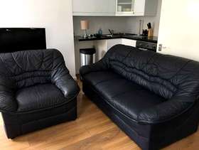 Freecycle Leather sofas, 1 & 3 seater