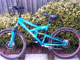 Freecycle Girls bicycle